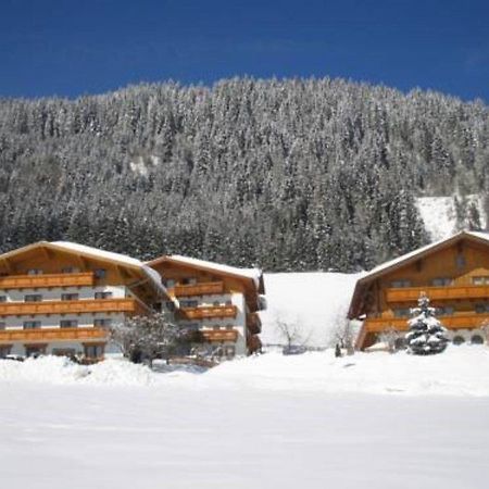 Ferienhaus And Reiterhof Poettler Flachau Eksteriør billede