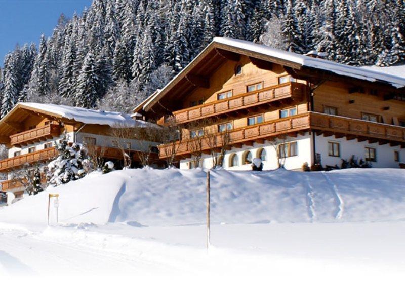 Ferienhaus And Reiterhof Poettler Flachau Eksteriør billede
