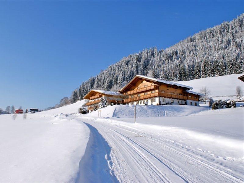 Ferienhaus And Reiterhof Poettler Flachau Eksteriør billede
