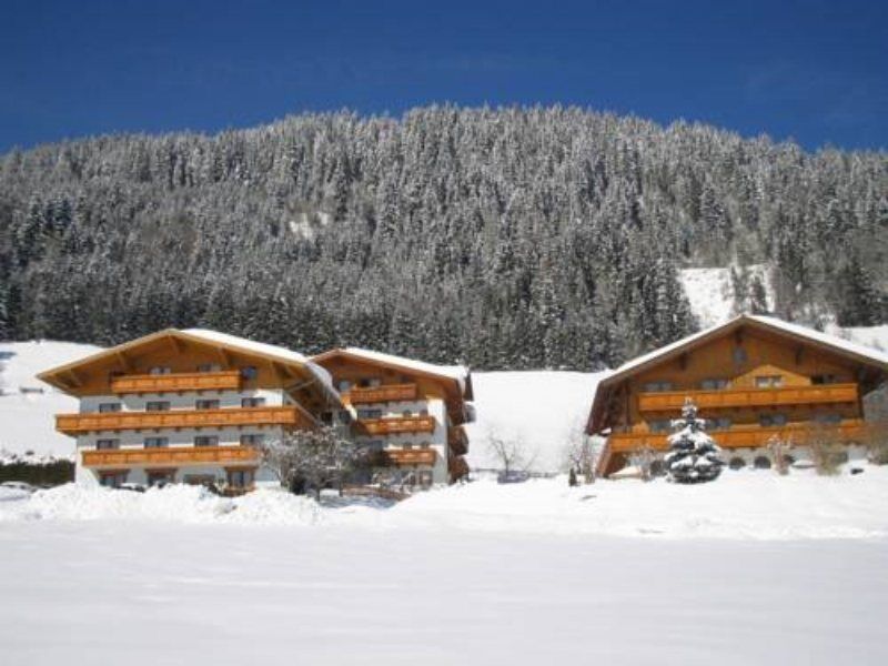 Ferienhaus And Reiterhof Poettler Flachau Eksteriør billede
